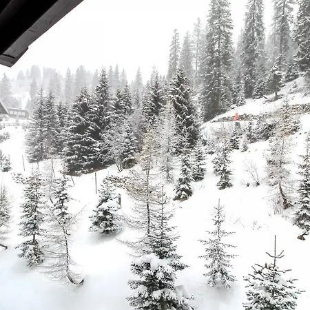 Newly Redecorated 2-bed Ski-in Ski-out Family Apartment